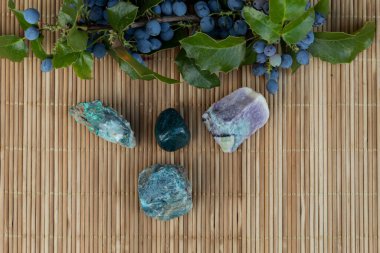 Ahşap bir arka planda mavi böğürtlenli magonyanın bir dalı uzanır. Yakınlarda yarı değerli taşlar var. Heliotrope, malachite, fluorite, apatite.
