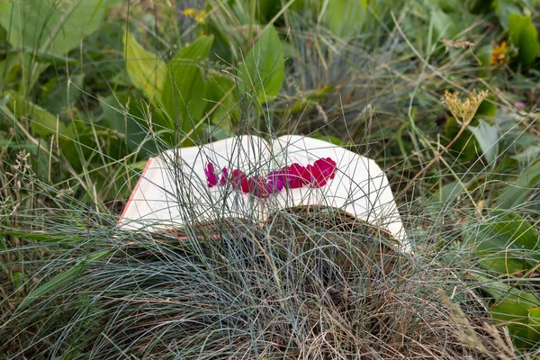 Gras Liegt Ein Offenes Buch Das Helle Blumen Gelegt Sind — Stockfoto