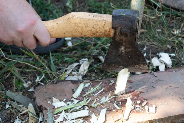 Bir adamın eli baltayı tutar ve tahta bir kazığı biler..
