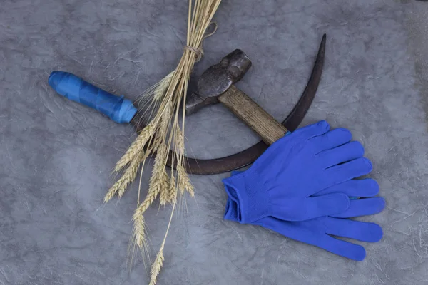 Auf Einem Grauen Hintergrund Liegen Hammer Sichel Ähren Und Handschuhe — Stockfoto