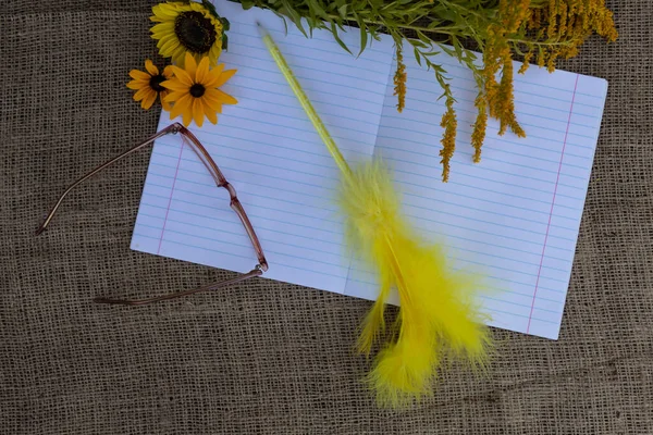 Auf Dem Notizbuch Liegt Eine Brille Ein Stift Mit Gelber — Stockfoto