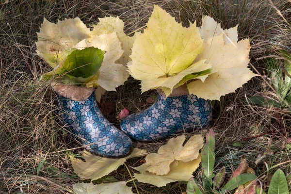 Sarı Sonbahar Yapraklı Botlar Yerde — Stok fotoğraf