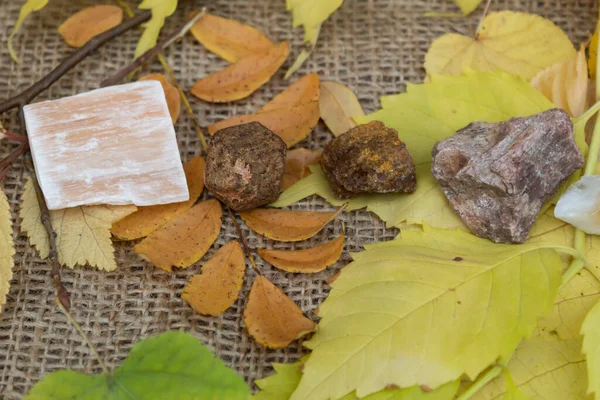 Semiprecious stones - red gypsum, garnet, wulfenite, andalusite - lie on the autumn leaves