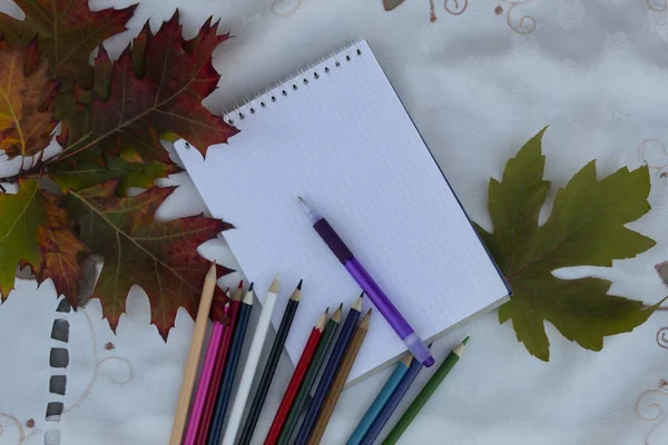 Beyaz arka planda, üzerinde kalem bulunan açık bir defter. Parlak sonbahar yaprakları ve renkli kalemler yakınlarda.