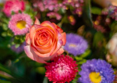 Evin penceresinin yanında çeşitli renklerde çiçeklerle pembe gül. 