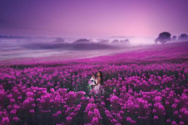 Pembe elbiseli güzel bir kız elinde sihirli ışıklarla dolu bir fenerle söğüt ağacından bir tarlada duruyor. Günbatımı gökyüzü ile romantik akşam fotoğrafı.
