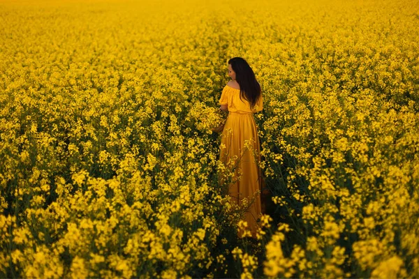 Sarı kolza tohumu tarlasında duran sarı uzun elbiseli güzel bir esmer kız. 