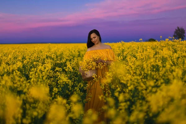 Sarı uzun elbiseli güzel bir esmer kız akşam gökyüzüne karşı sarı kolza tohumu tarlasında duruyor.