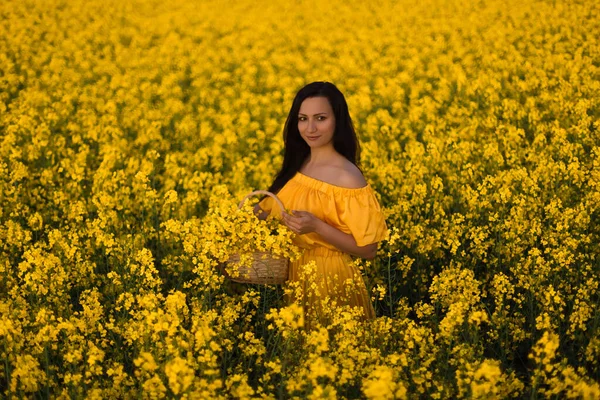 Sarı Kolza Tohumu Tarlasında Duran Sarı Uzun Elbiseli Güzel Bir — Stok fotoğraf