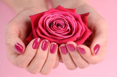 Bir gül goncası holding eller