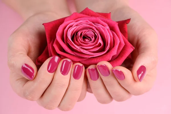 Hands holding a rosebud