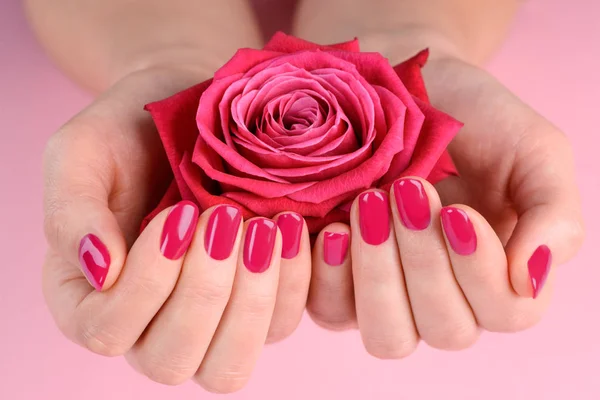 Розовый бутон в женских руках — стоковое фото