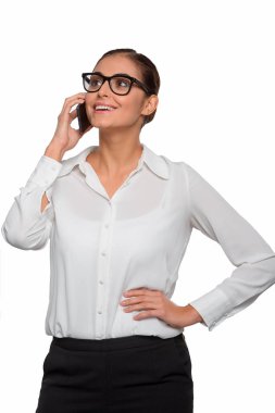 Memnun bussineswoman onun ortakları ile görüşmeler