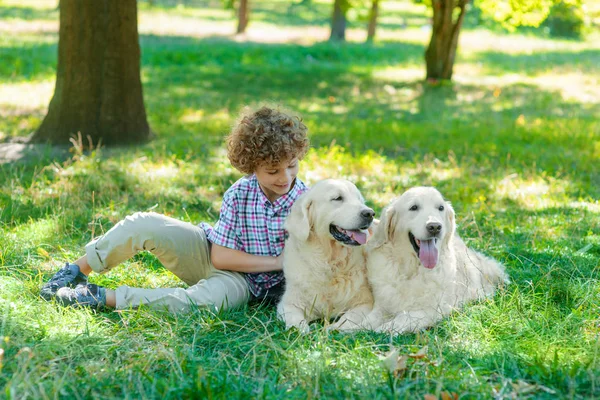 La migliore compagnia per il ragazzo — Foto Stock