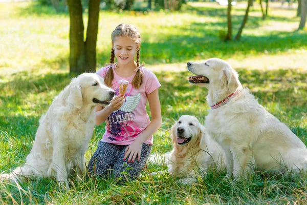 Trois chiens et une petite fille — Photo