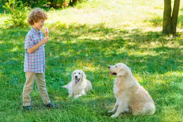 Loisirs pour un garçon et ses animaux domestiques — Photo