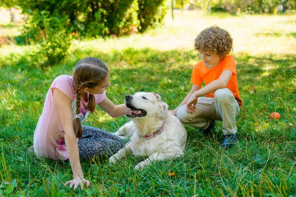 Loisirs actifs avec un chien — Photo