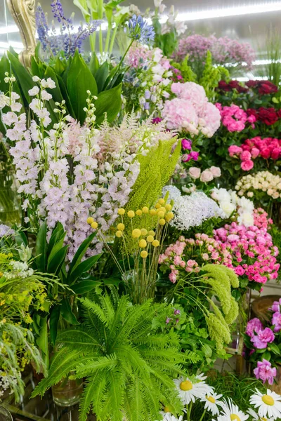 Mångfald av blommor i butiken — Stockfoto