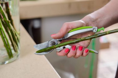 Bir kök kesme çiçekçi