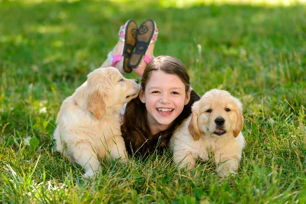 Золотистые ретривер щенки и ребенок — стоковое фото