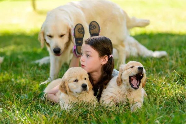 Девочка и собаки на улице — стоковое фото