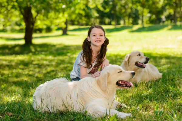 Юная леди и ее собаки — стоковое фото