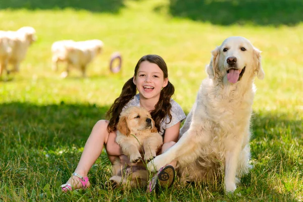 Fille et golden retrievers — Photo