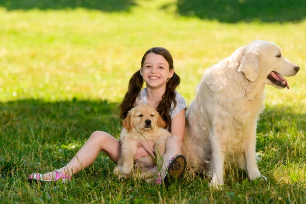 Dziewczyna zabawy z psami — Zdjęcie stockowe
