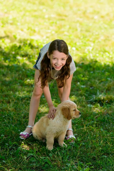 Child is stroking dogs back — Stock Photo, Image
