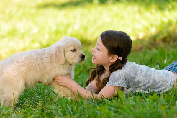 Fille regardant le visage des chiens — Photo