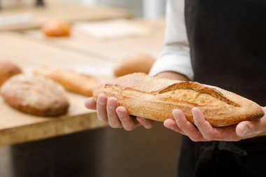Baker ekmek somun, onun çalışma sonucu gösteren tutuyor. Harika Fransız aroması veren rustik kahvaltı ile peynir, yolunda.