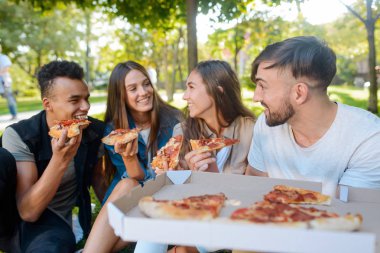 Pizza piknik arkadaşlar