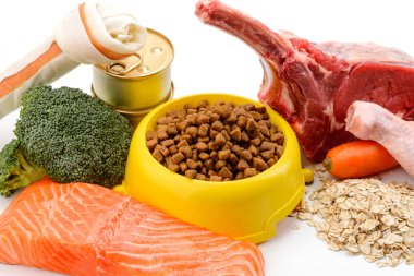 Köpek kemiği ve kibbles