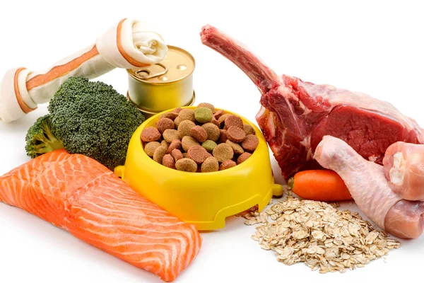 Dog bone, kibble and ingredients — Stock Photo, Image