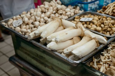 Başka türlü mantar