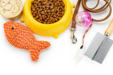 Evde beslenen hayvan toys yakın çekim