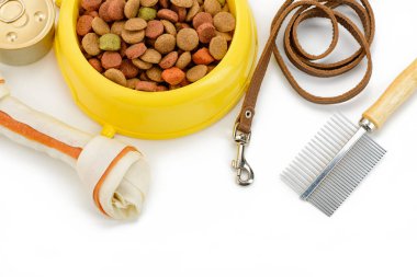 Kemik, kibbles, kira kontratı ve fırça