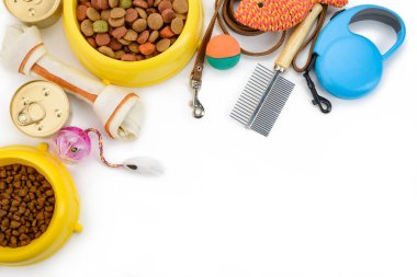 Beyaz üzerine temel evcil hayvan ürünleri