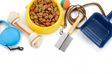 Köpek maması ve aksesuarları