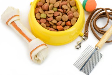 Köpek kemik, kibbles, kira kontratı, fırça
