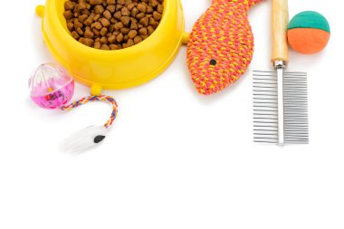 Oyuncaklar, gıda ve fırça