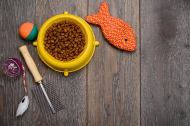 Kedi toys, fırça ve kase