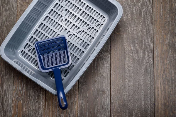 Blue litter box and scoop — Stock Photo, Image