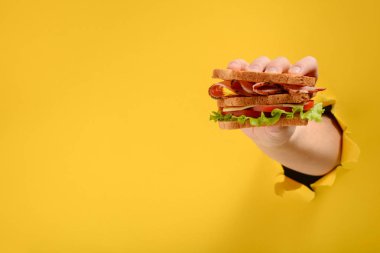 Sandviç Çift Kişilik tutan el