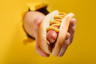 Bir hotdog yakın çekim