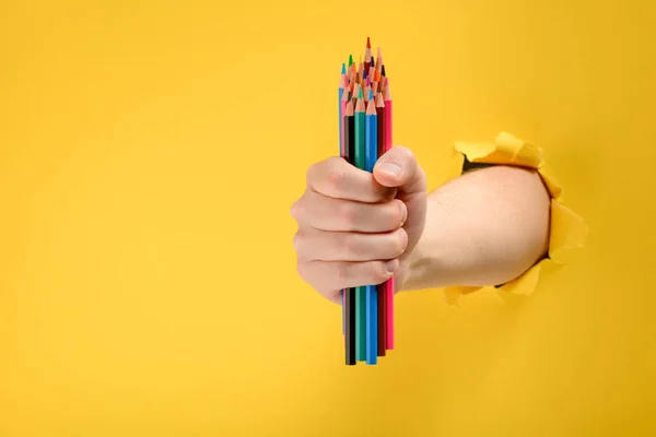 Hand holding colored pencils — Stock Photo, Image