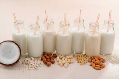 Ev yapımı Bitki sütü