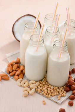 Fındık gelen Bitki sütü yapma