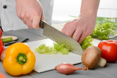 Şef kesme taze yaprakları