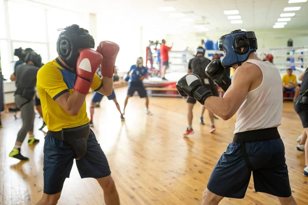 Combatientes de boxeo haciendo ejercicio — Foto de Stock